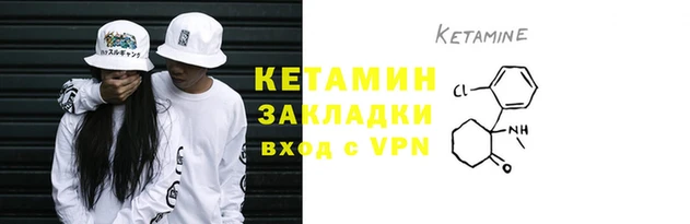 кокс Дмитров