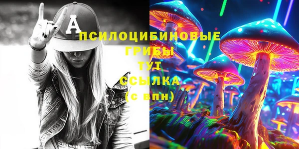 MDMA Дмитриев