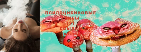 таблы Дмитровск