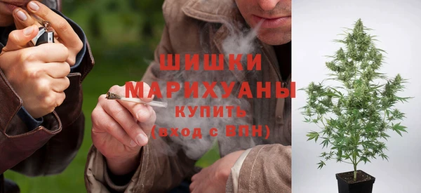 кокс Дмитров