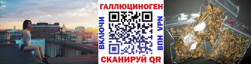 МЕГА   Ростов-на-Дону  Галлюциногенные грибы Psilocybine cubensis 